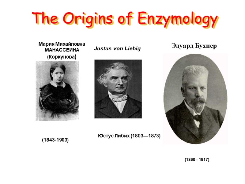 The Origins of Enzymology        Justus von Liebig